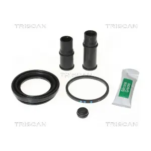 8170 204827 TRISCAN