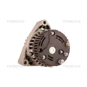 8310 29029 TRISCAN