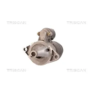 8305 10050 TRISCAN