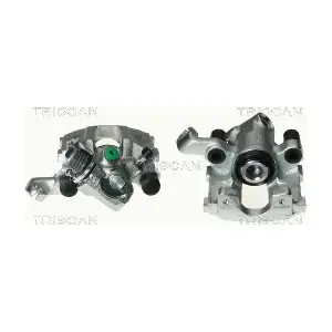 TRISCAN 8170 34210