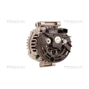 8310 25011 TRISCAN