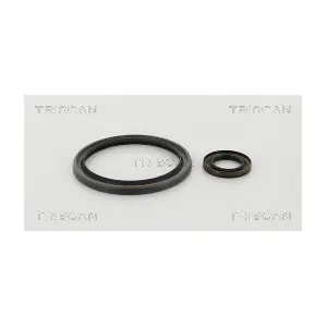 8550 27001 TRISCAN