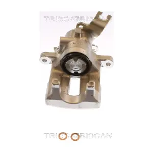 8175 13222 TRISCAN