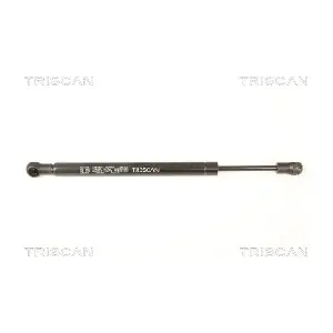 8710 29285 TRISCAN