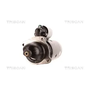 TRISCAN 8305 10119