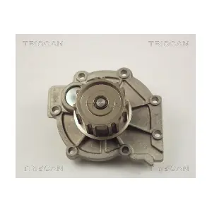 860027106 TRISCAN