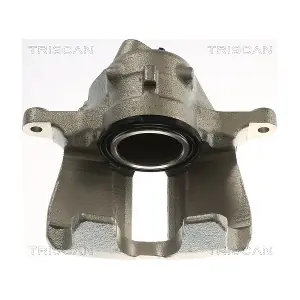 TRISCAN 8175 29163