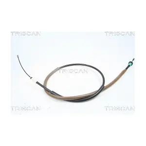 814038138 TRISCAN
