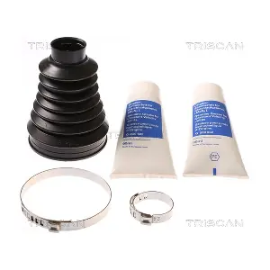 8540 28817 TRISCAN