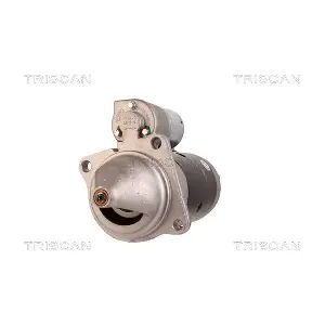 8305 43022 TRISCAN
