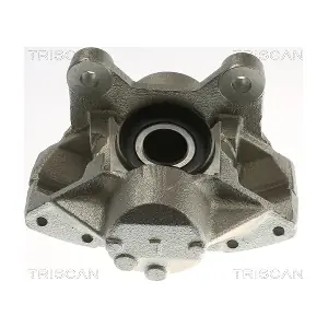 TRISCAN 8175 27217