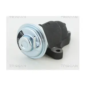 8813 13064 TRISCAN