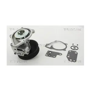 860016069 TRISCAN
