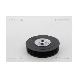 TRISCAN 8643 25002