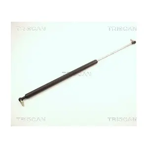 8710 13219 TRISCAN