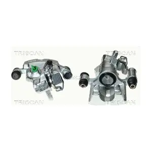 BC2194 TRISCAN