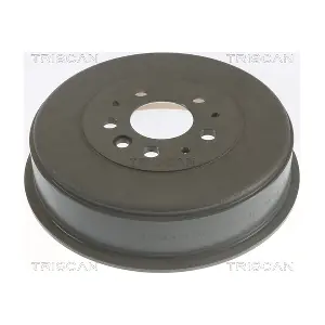 TRISCAN 8120 29202C