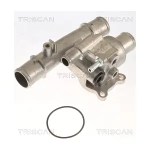 8620 13988 TRISCAN