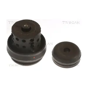 8505 29118 TRISCAN