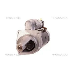 TRISCAN 8305 29027