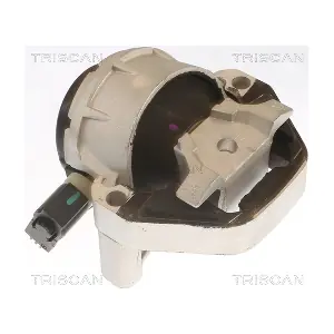 8505 29170 TRISCAN