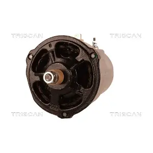 8310 29065 TRISCAN