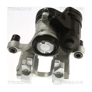 8175 292010 TRISCAN