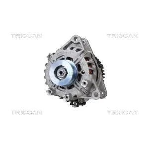 TRISCAN 8310 13063