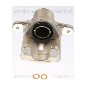 TRISCAN 8175 68206