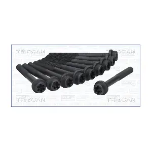 TRISCAN 98-2521