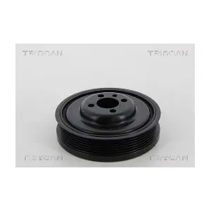 8643 29010 TRISCAN
