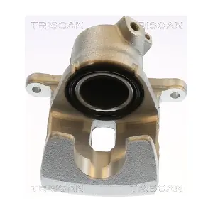 8175 13126 TRISCAN