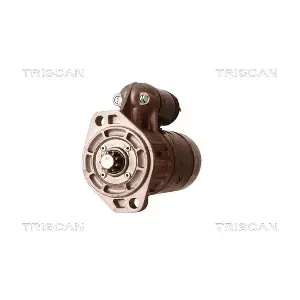 TRISCAN 8305 13018