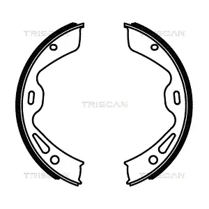 TRISCAN 810020004
