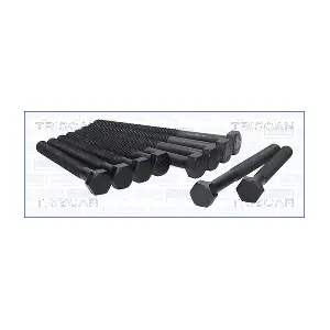 98-5007 TRISCAN