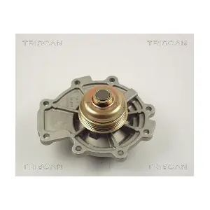TRISCAN 860016011