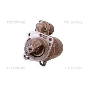 TRISCAN 8305 29018
