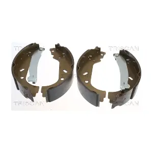 TRISCAN 810010004
