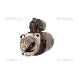 TRISCAN 8305 29042