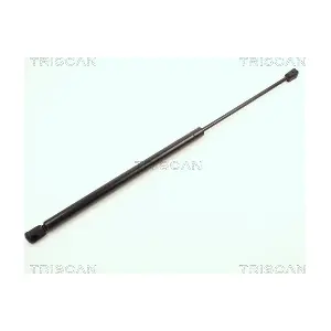 87101602 TRISCAN