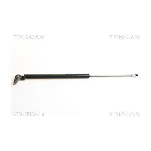 8710 43211 TRISCAN