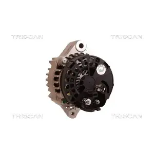 8310 25010 TRISCAN