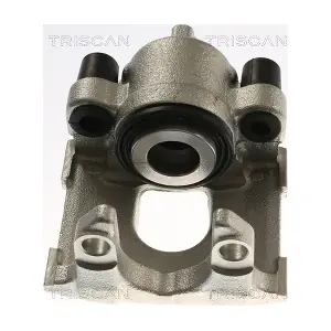 8175 11229 TRISCAN