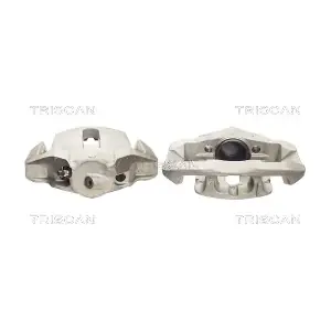 821000 TRISCAN