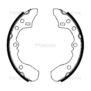 TRISCAN 8100 50434