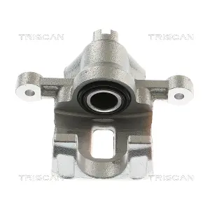 TRISCAN 8175 43234