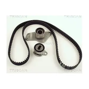 TRISCAN 8647 25011