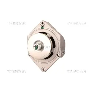 TRISCAN 8310 29097