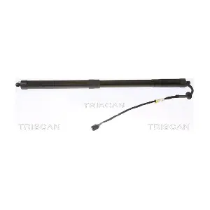 8710 20303 TRISCAN