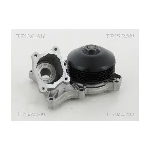 TRISCAN 860011038